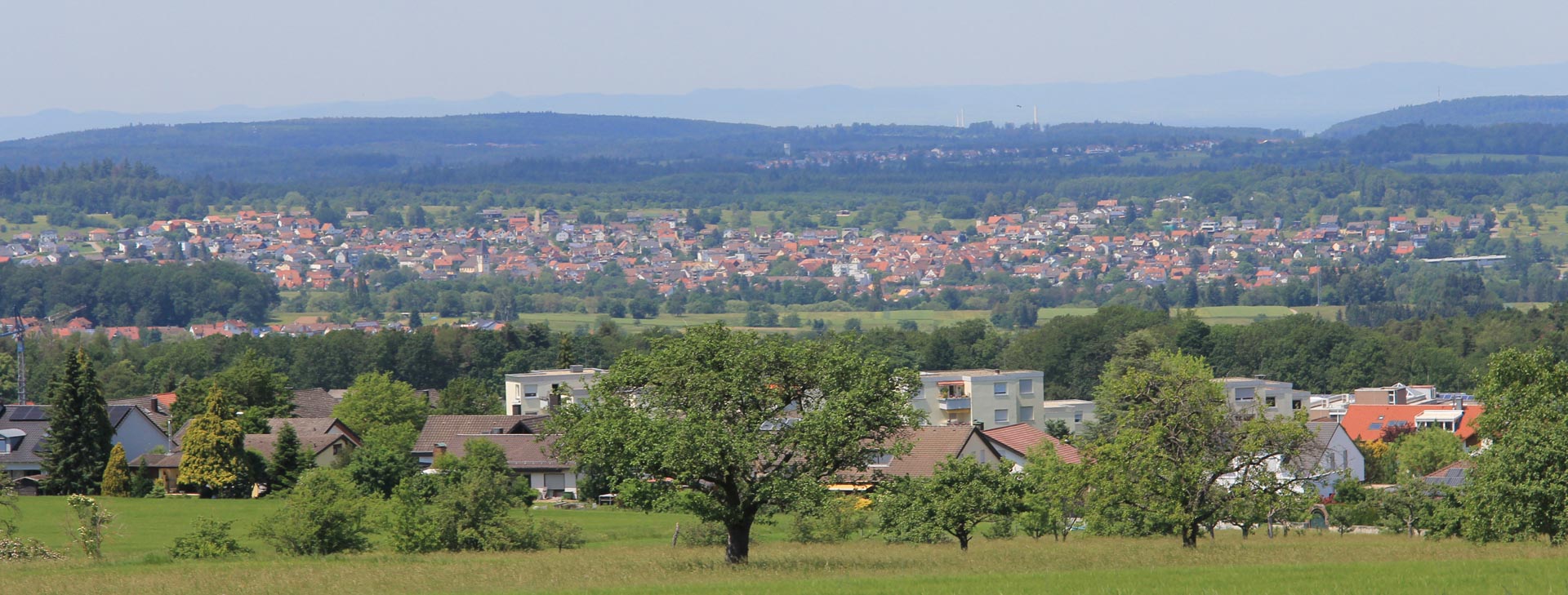 bild5